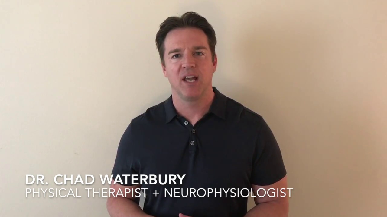 Corrective Exercise Specialist overview