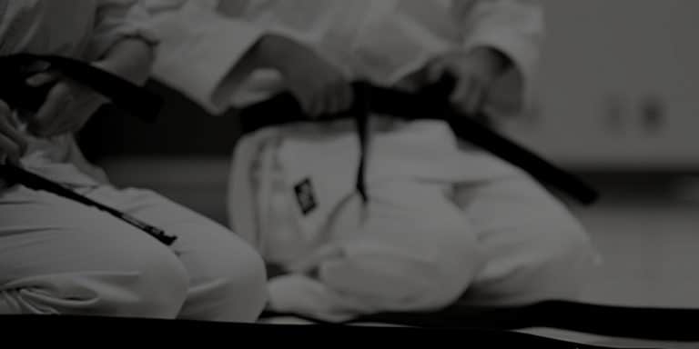 karate online classes and lessons
