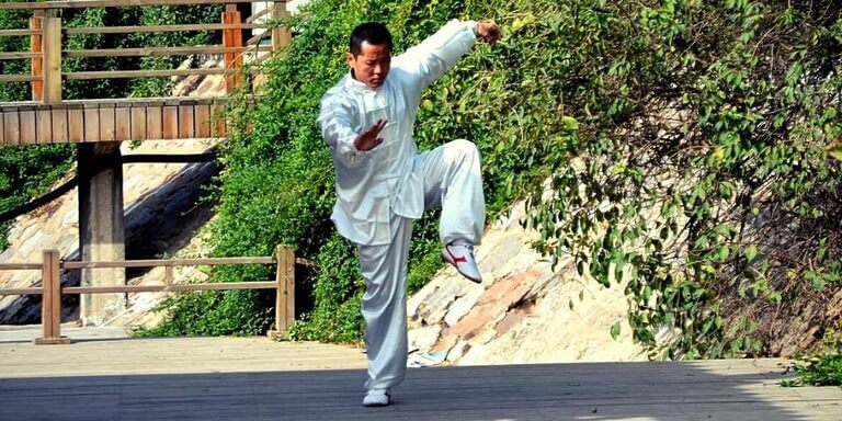 kung fu vs karate 1