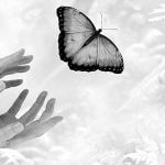 spiritual life coach certification