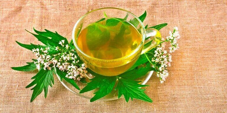common herbal remedies 1