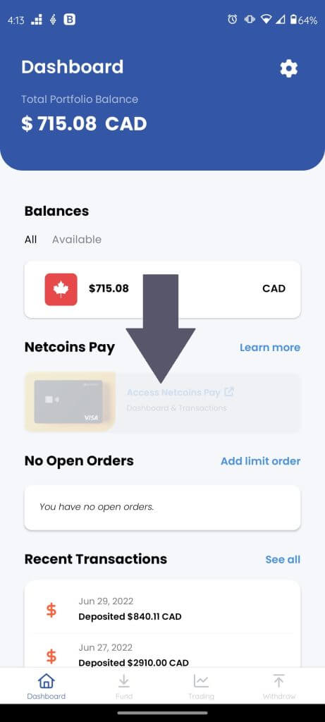 netcoins pay 2