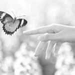 Best Transformational Coach Certifications Online